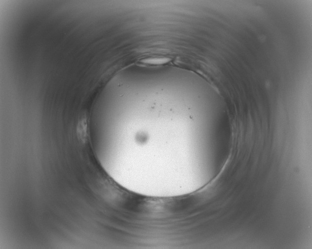 X0000068890190200605192144