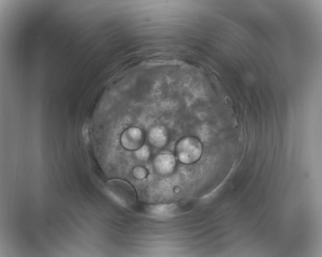 X0000068890191200605192144