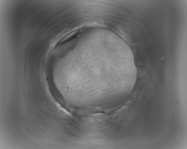 X0000068890193200605192144