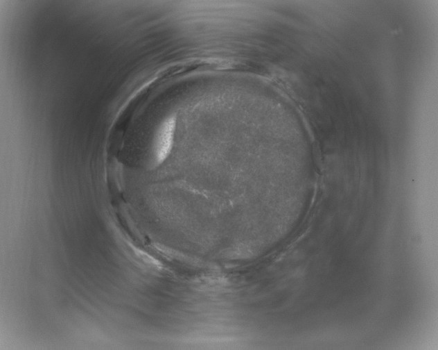 X0000068890194200605192144