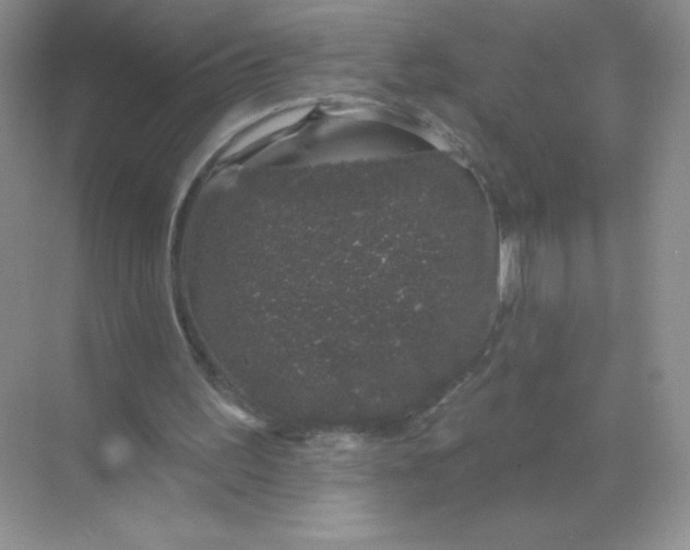 X0000068890195200605192144