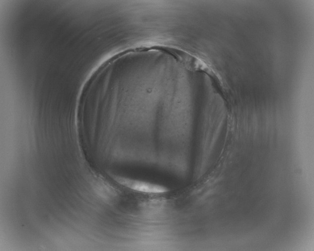 X0000068890196200605192144