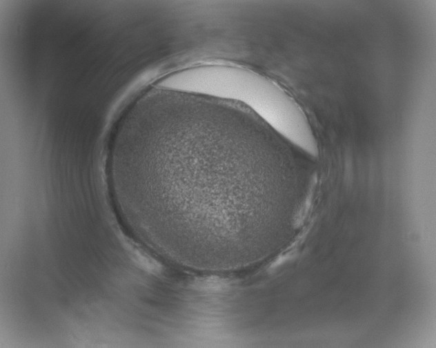 X0000068890197200605192144