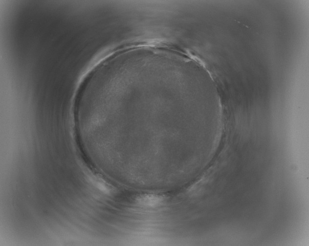 X0000068890198200605192144