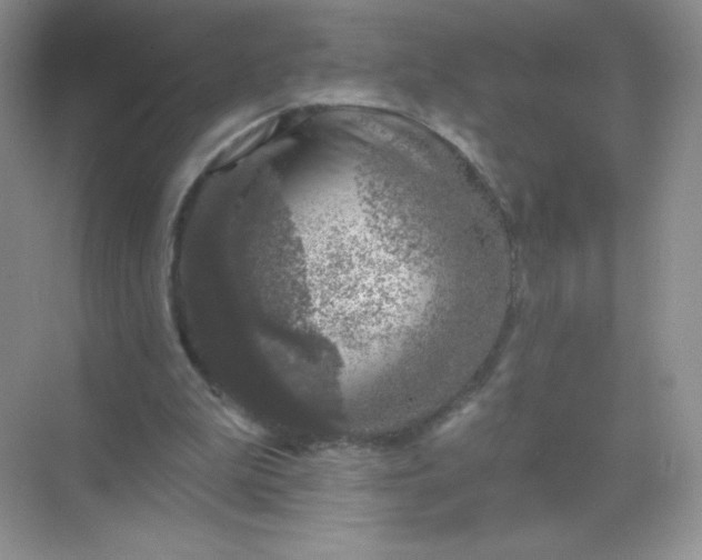 X0000068890199200605192144