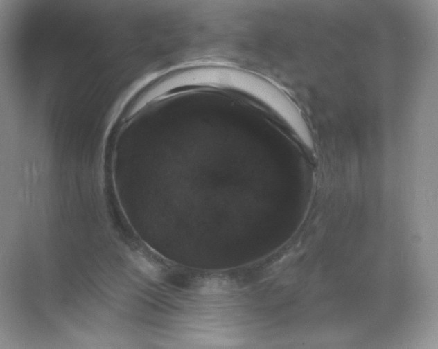 X0000068890200200605192144