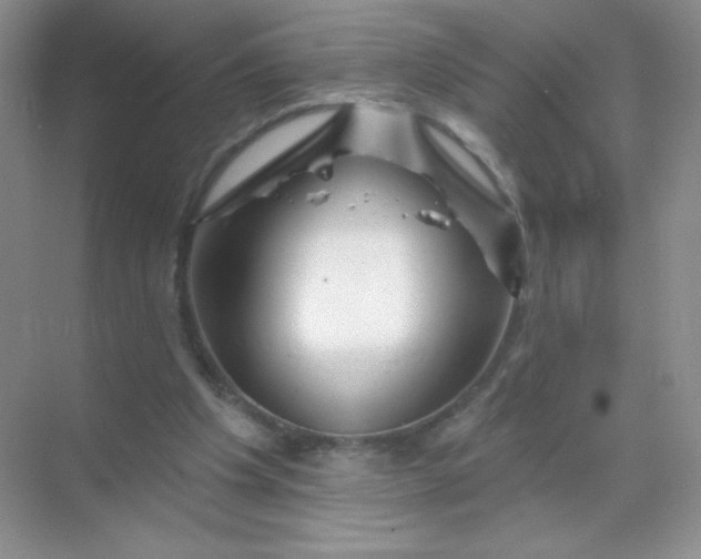 X0000068890201200605192144