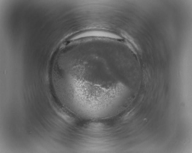 X0000068890203200605192143