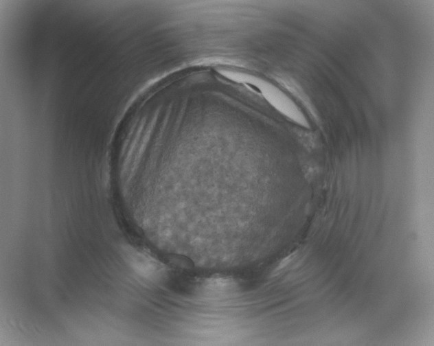 X0000068890204200605192143