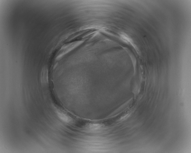 X0000068890205200605192143