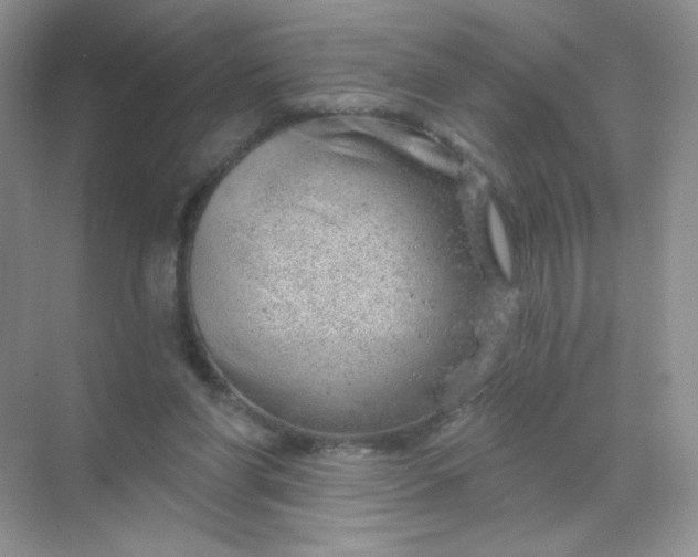 X0000068890206200605192143