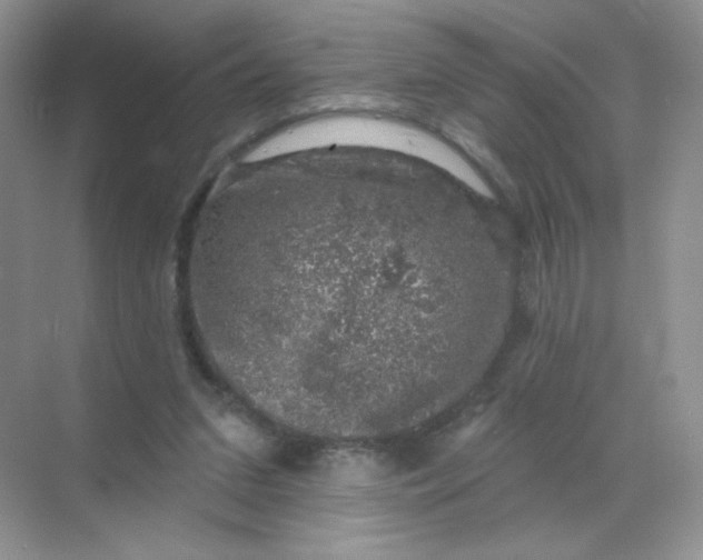 X0000068890207200605192143