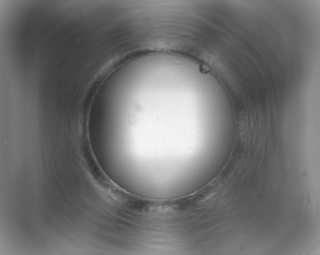 X0000068890208200605192143