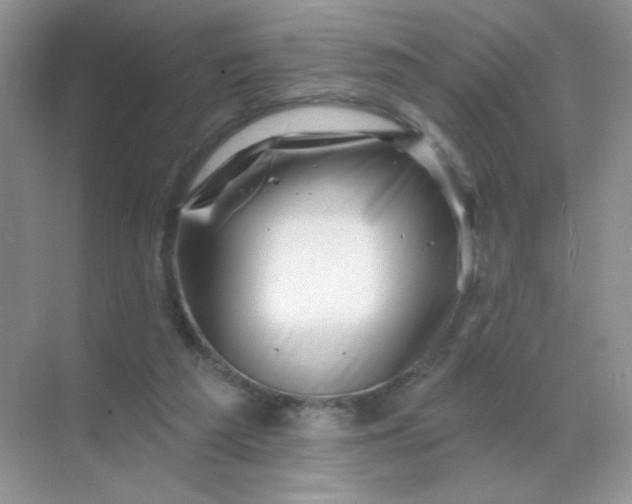 X0000068890209200605192143