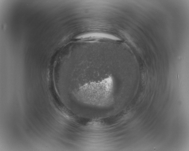 X0000068890211200605192143