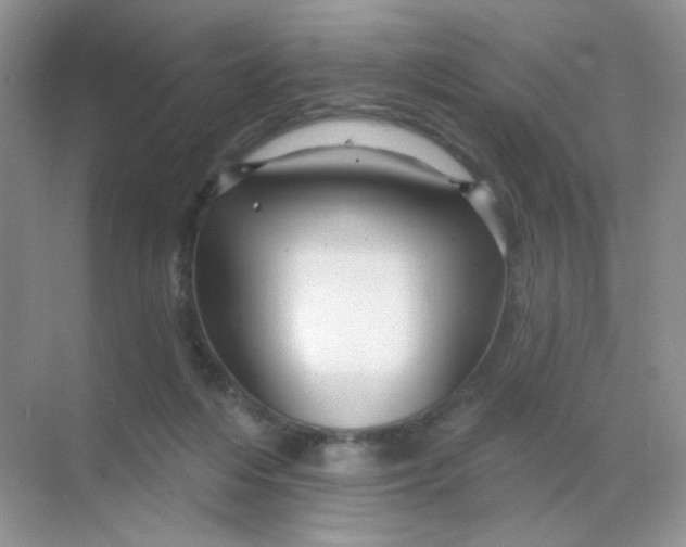 X0000068890216200605192143