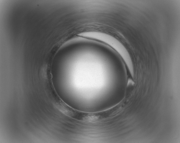 X0000068890217200605192143