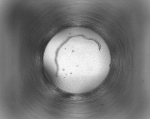 X0000068890220200605192143