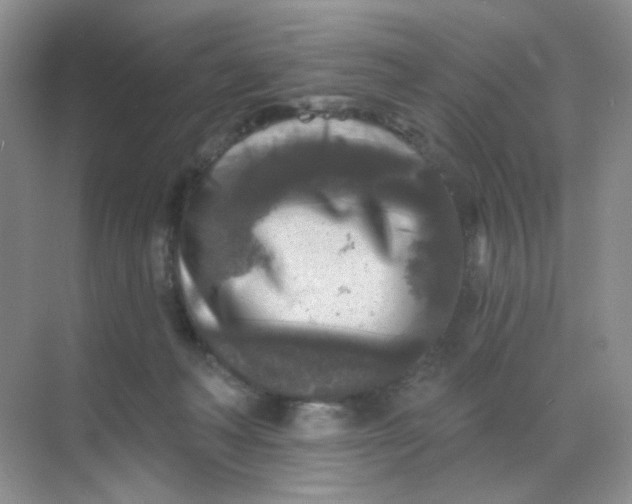 X0000068890222200605192143