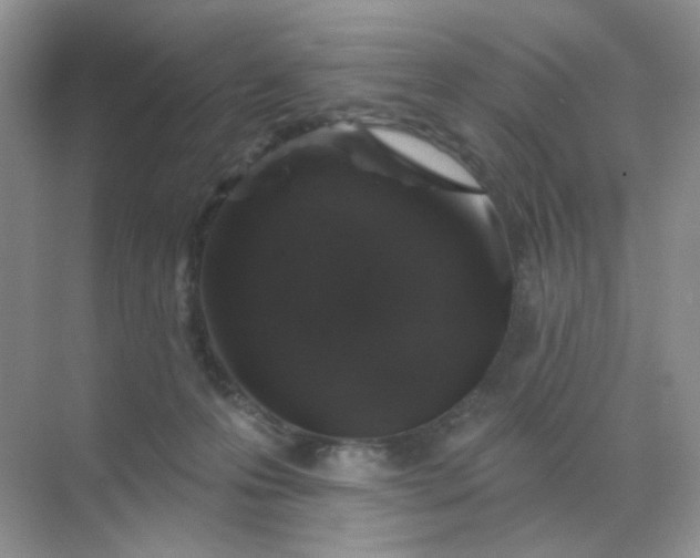 X0000068890223200605192143