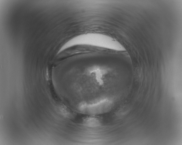 X0000068890224200605192143