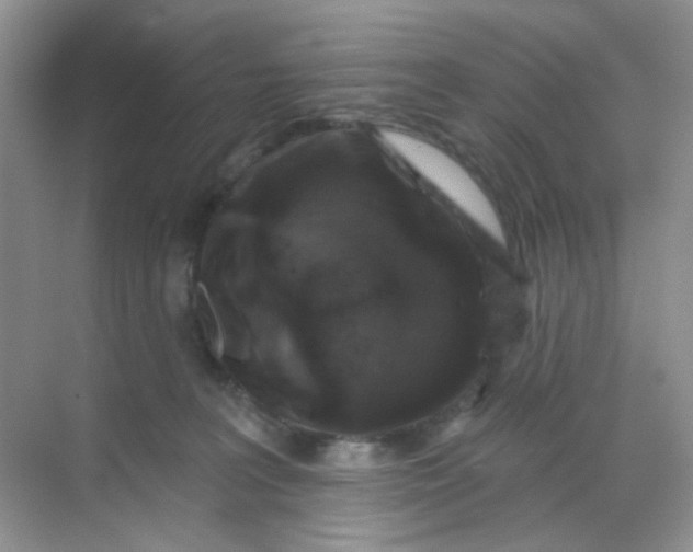 X0000068890227200605192143