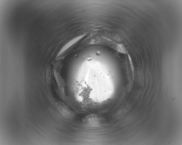 X0000068890228200605192143