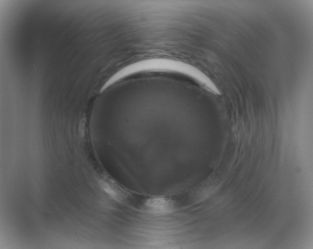 X0000068890231200605192143