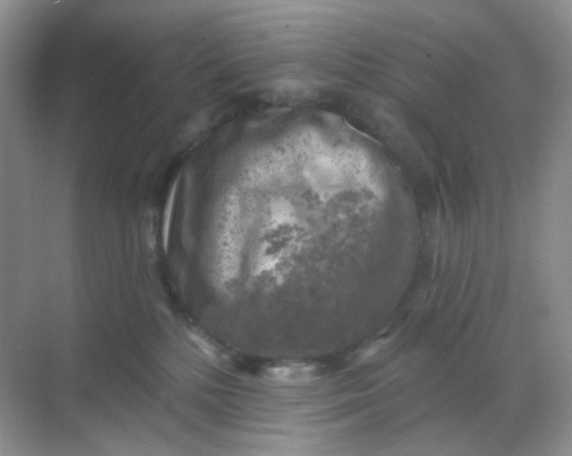 X0000068890232200605192143