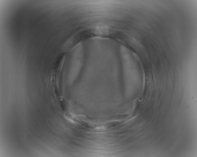 X0000068890233200605192143