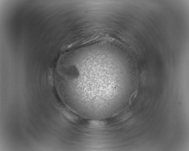 X0000068890234200605192143