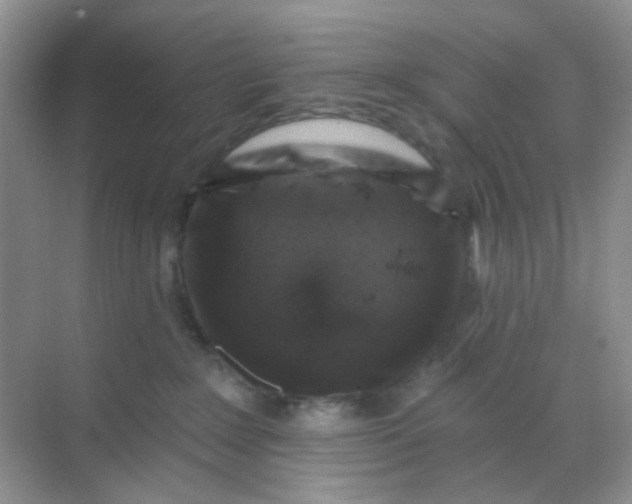 X0000068890235200605192143