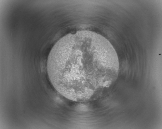 X0000068890236200605192143