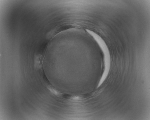 X0000068890237200605192143