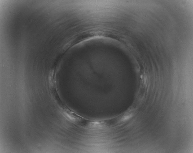 X0000068890239200605192143