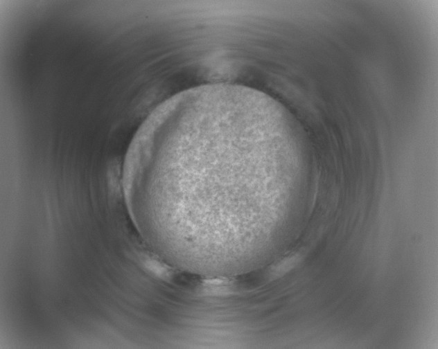 X0000068890240200605192143