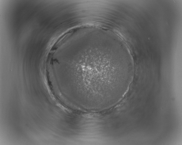 X0000068890241200605192142