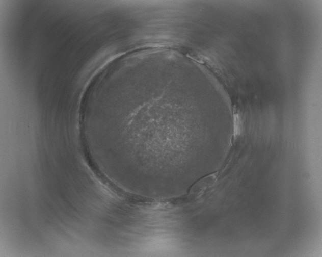 X0000068890243200605192142