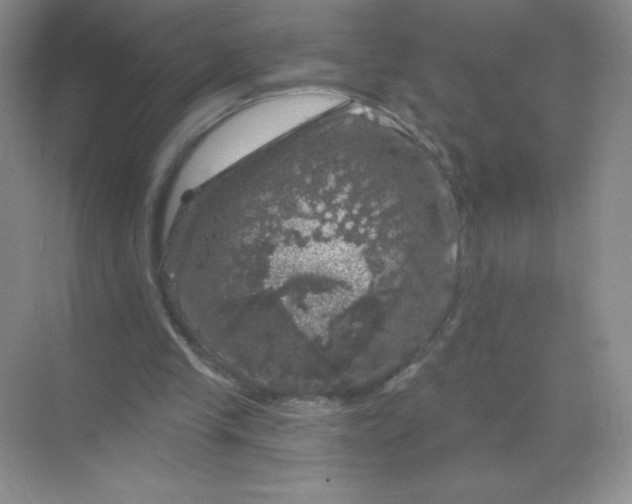 X0000068890245200605192142