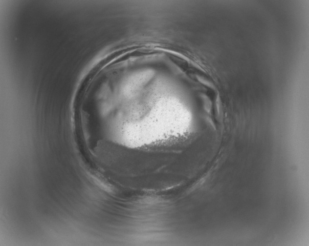 X0000068890246200605192142