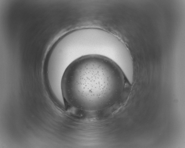 X0000068890248200605192142