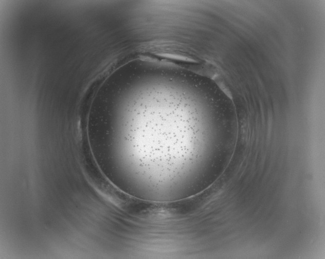 X0000068890254200605192142