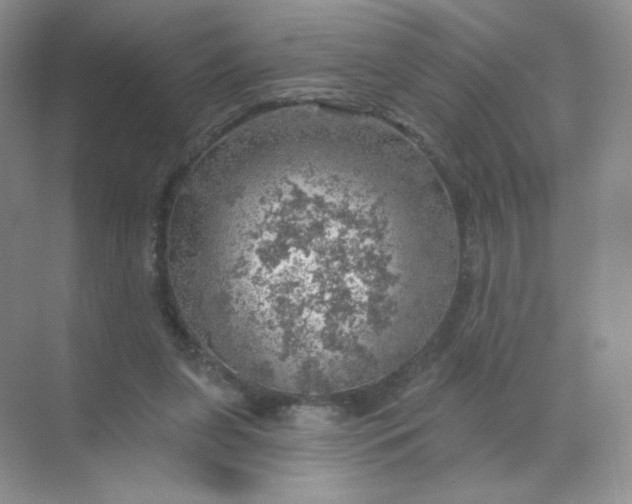 X0000068890255200605192142