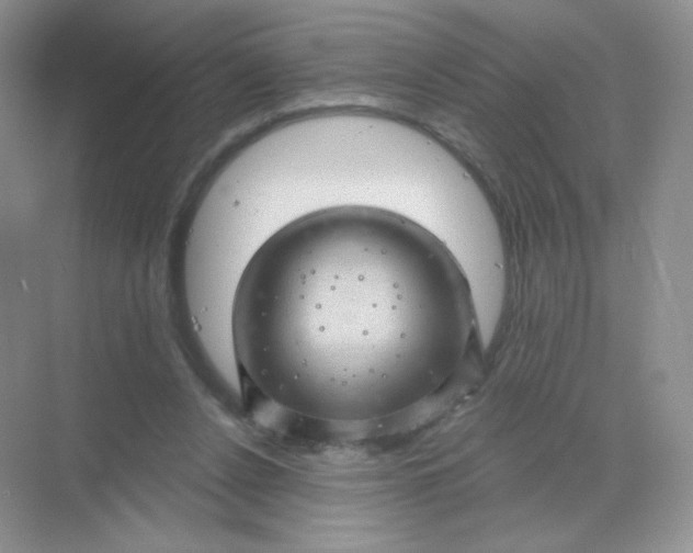 X0000068890256200605192142