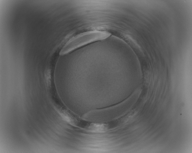 X0000068890260200605192142