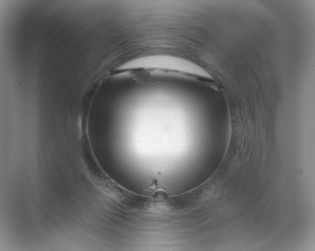 X0000068890262200605192142