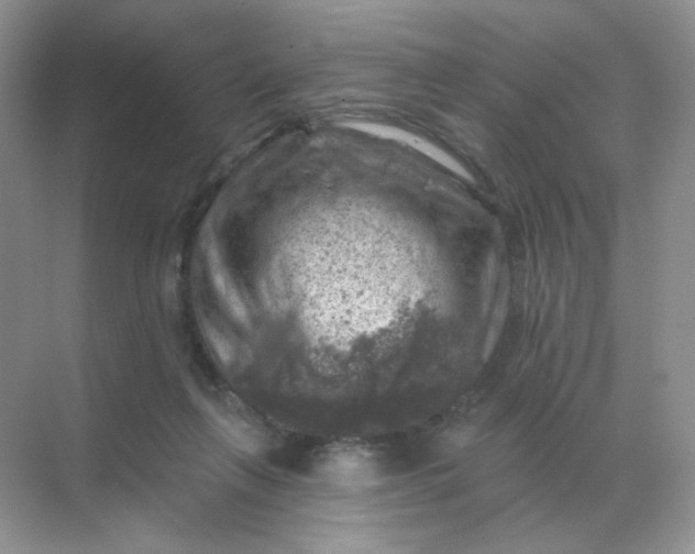 X0000068890263200605192142