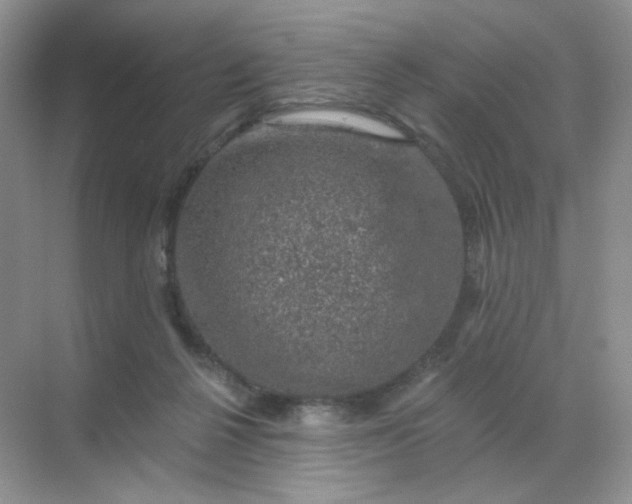 X0000068890264200605192142