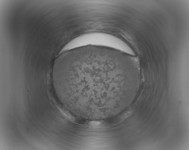 X0000068890265200605192142