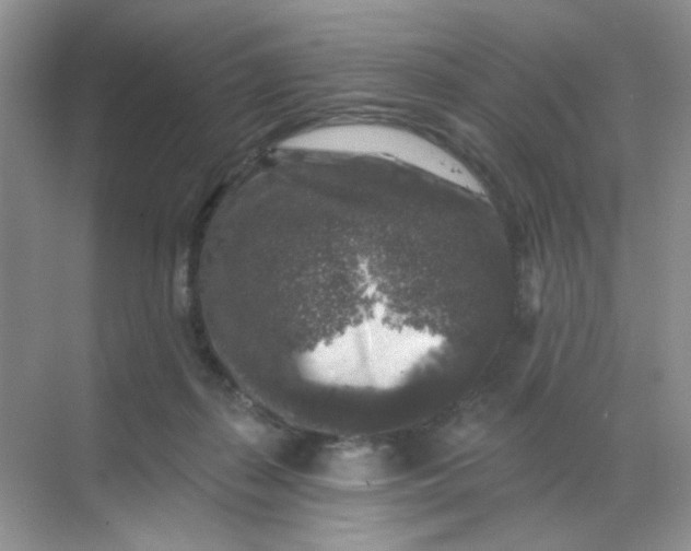 X0000068890267200605192143